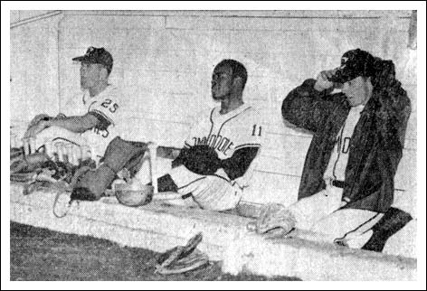In the dugout