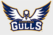Sylvan Lake Gulls