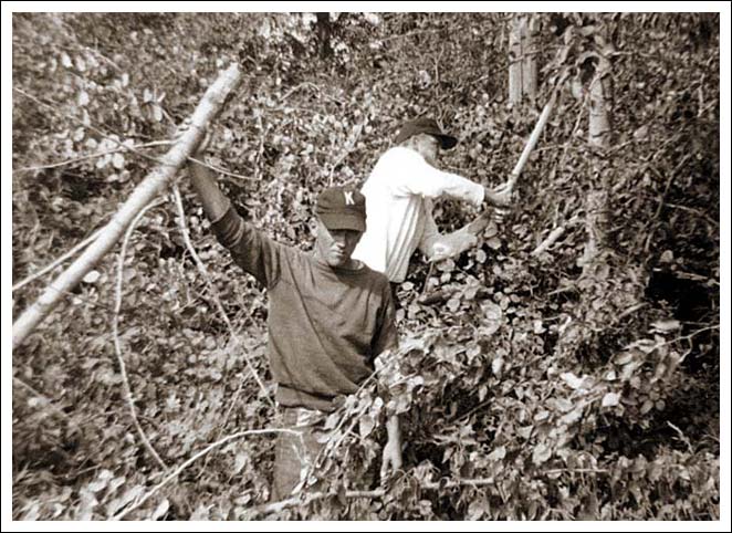 Foresters