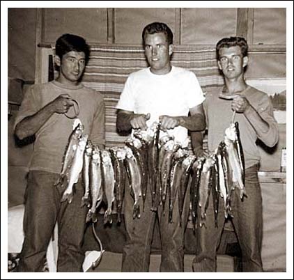 The day's catch