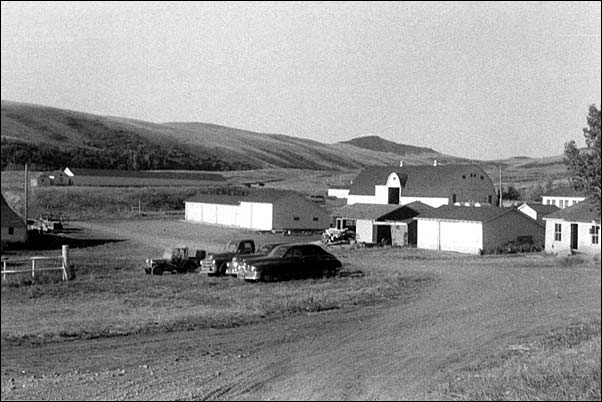 The Wesley Ranch