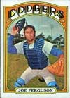 Joe Ferguson