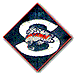 Seattle Steelheads