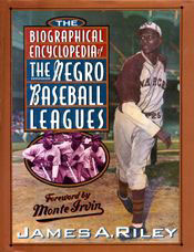 Negro Baseball Leagues