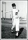 Joe Pedrazzini